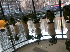 -奈雪的茶(凯德新都心店)