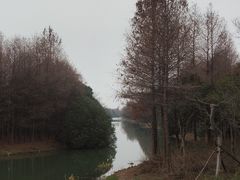 -贡湖湾湿地公园