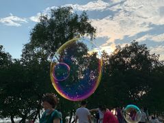 -宝安西湾红树林湿地公园