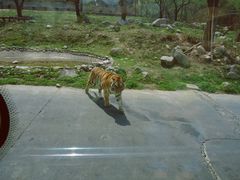 -西安秦岭野生动物园