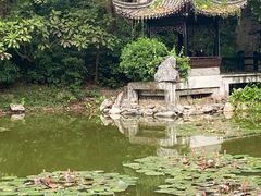 -深圳国际园林花卉博览园