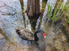 -昆山城市生态森林公园