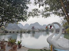 -靖西鹅泉风景区