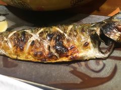 -大吉鲜鱼料理自慢(维也纳大厦店)
