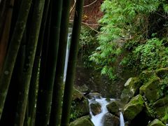 -凤栖山