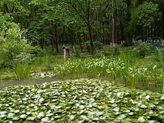 -阿哈湖国家湿地公园