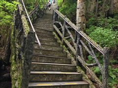 -汤旺河林海奇石景区