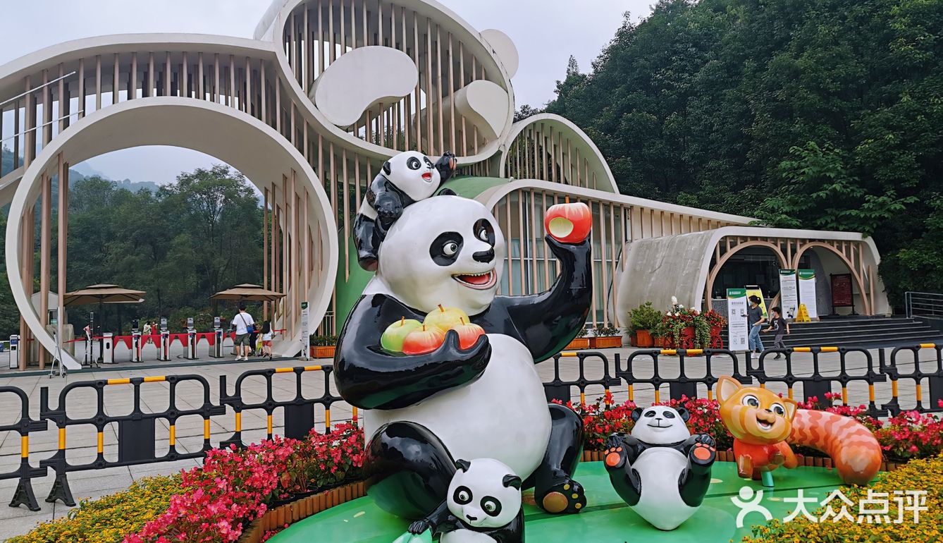 闯入熊猫🐼睡眠王国？[害羞]