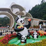 闯入熊猫🐼睡眠王国？[害羞]