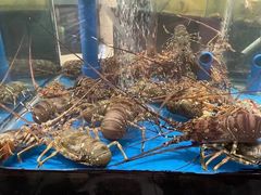 -田园肥牛鲍鱼先生(新北店)