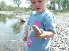 -永定河休闲森林公园