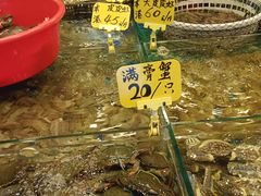 -厦门轮渡码头