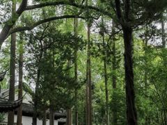 -汇龙潭