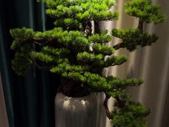 -和里合·颜愈SPA·Relax瑶浴·Massage(石厦店)