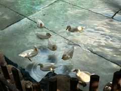 -正佳雨林生态植物园