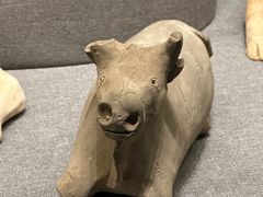 -广西壮族自治区博物馆