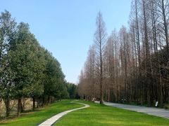 -同里国家湿地公园