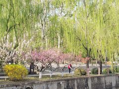 -元大都城垣遗址公园