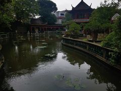-碧江金楼