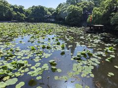 -東大方(湖州白鹭迎店)