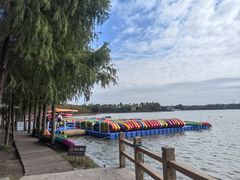 -上海海湾国家森林公园