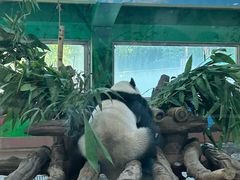-广州动物园