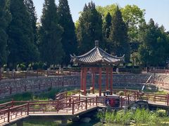 -保定市动物园