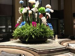 -杭州君悦酒店