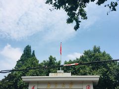 -三猫黑鱼花(南大店)