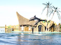 IMG_0044-秦皇岛乐岛海洋王国