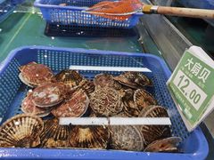 -宝燕海货工场(长江国际店)