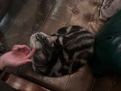 -金源食府(林乐路店)