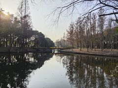 -上海滨江森林公园