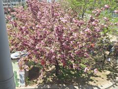 -宏运厨房·海鲜青岛菜·生日宴(城市阳台店)