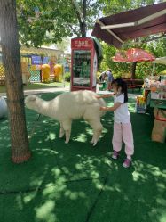 -萌宠亲子动物乐园(槐房万达店)