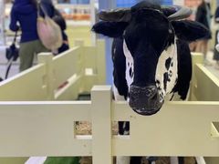 -红星前进面包牛奶公司(君太店)