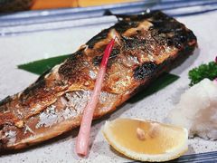 -晶吉·居酒屋·日本料理·烧鸟(中山区民主广场经典生活店)