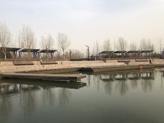 -马家湾湿地公园