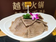 -巴奴毛肚火锅(商城路店)