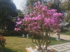 -南京东郊国宾馆