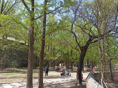 -北京鹫峰国家森林公园