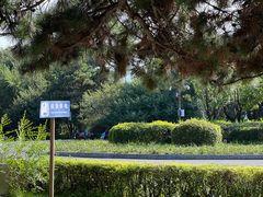 -长春市南湖公园