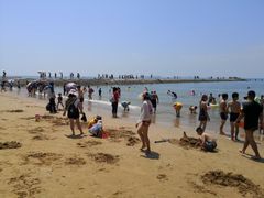 -青岛第二海水浴场