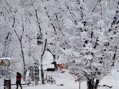 -中旅松花湖滑雪场