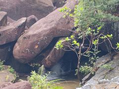 -广州白江湖森林公园