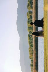 -绽放摄胶片摄影工作室