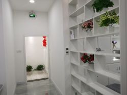 -莱可美科技美肤