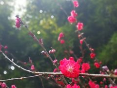 -重庆彩云湖湿地公园