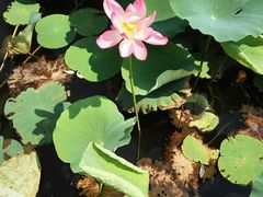 -南戴河国际娱乐中心