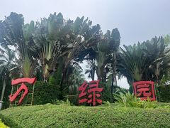-万绿园